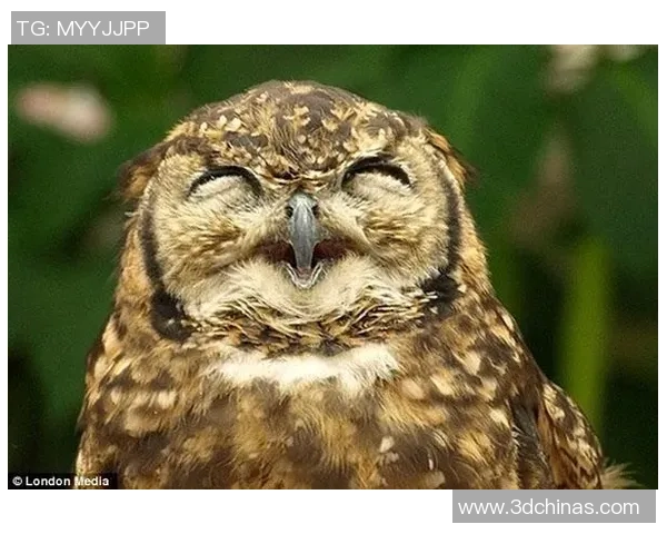 足球场上的奇葩动作大集锦：笑翻全场的那些搞笑瞬间